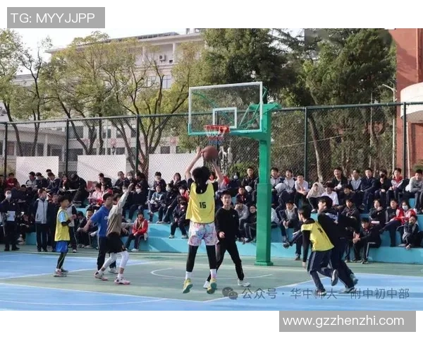 刘东花式篮球的魅力与技巧探索让你领略不一样的篮球风采与激情